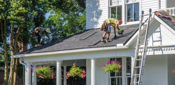 Best Roof Gutter Cleaning  in Mcnary, AZ